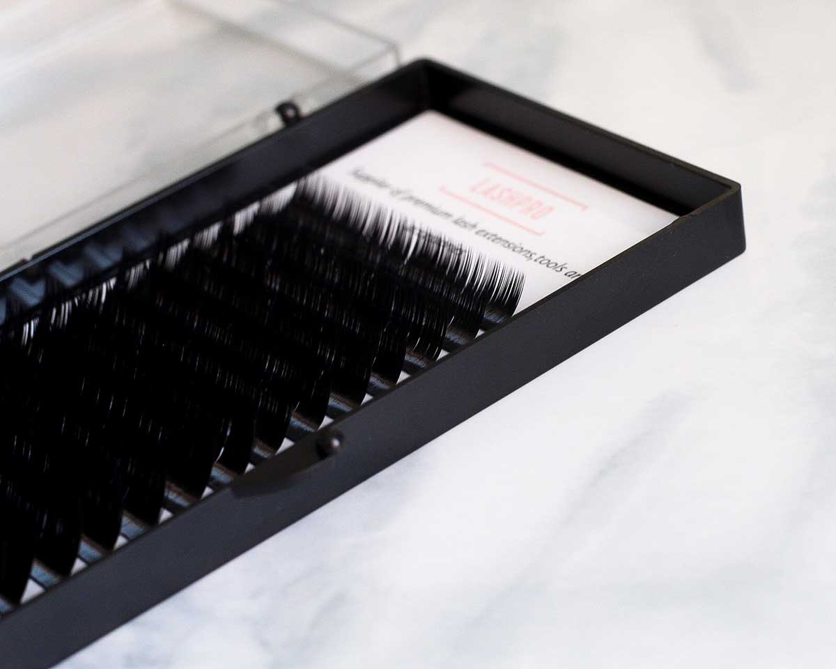 L curl lashes have taken the world by storm!