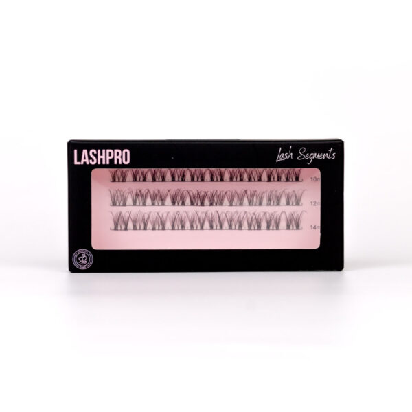Lash Segment (Various Styles)
