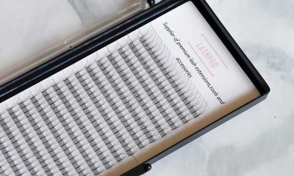 Lash Trays